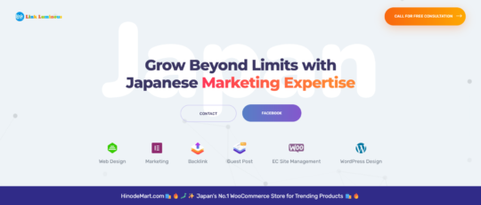 Link Luminous LLC
